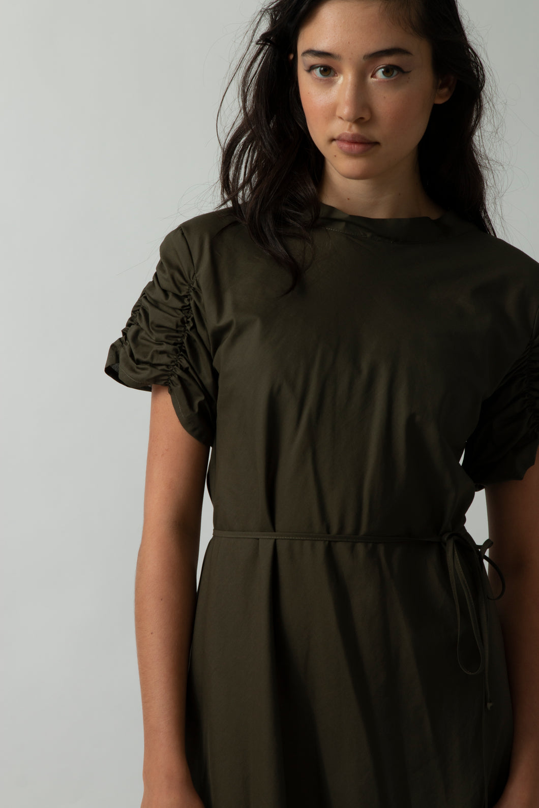 Amellus Dress Olive Green sample