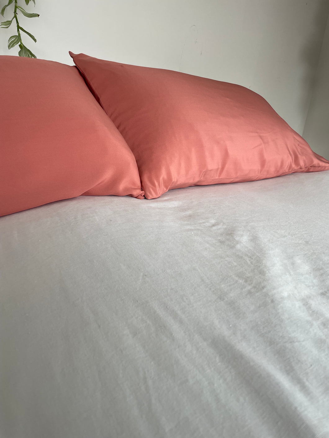 Coral pillowslip single